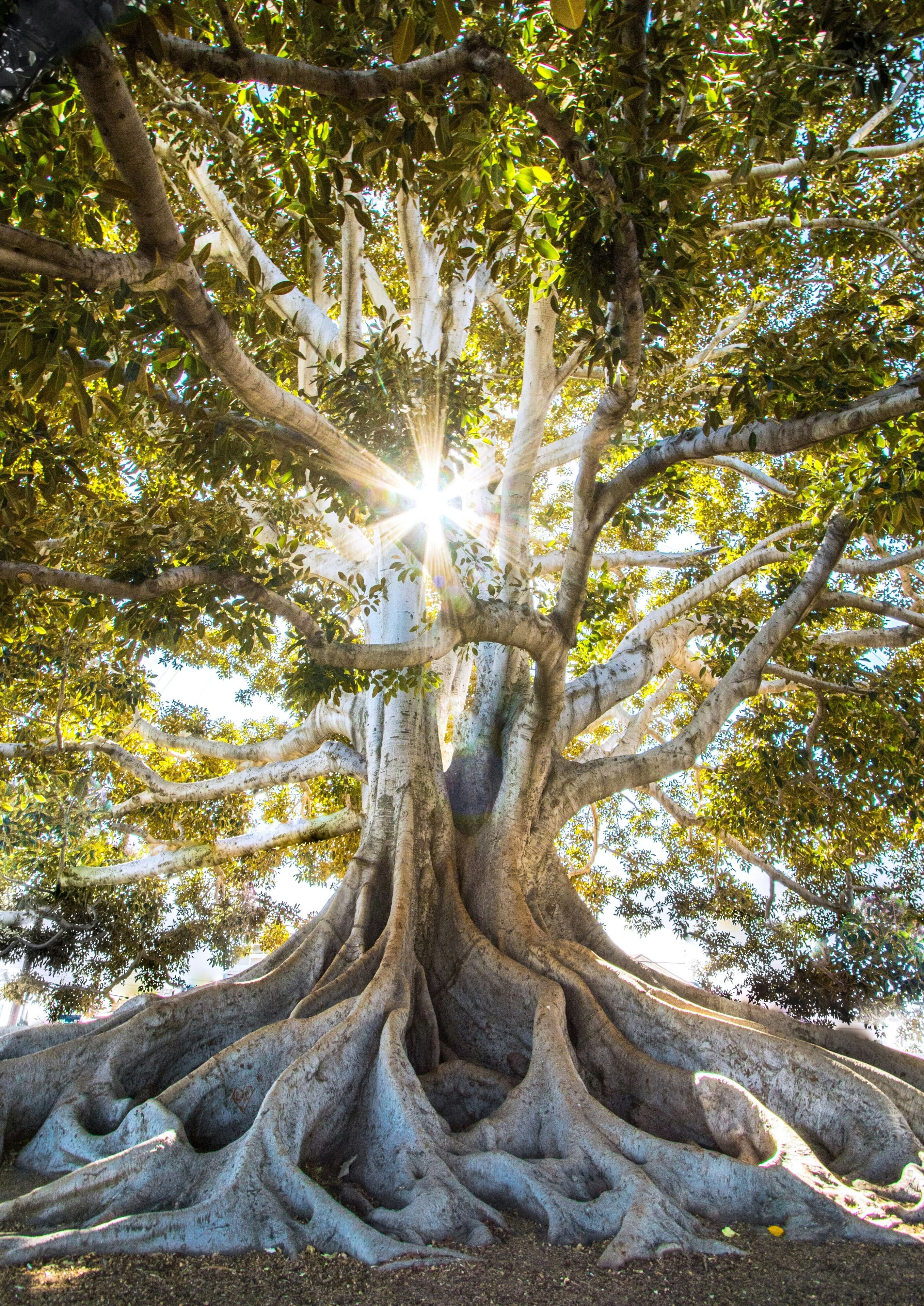문인혜 원장님 사진 8